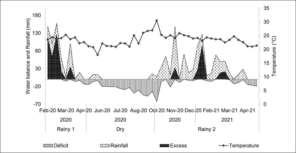 Diagrama

Descrição gerada automaticamente