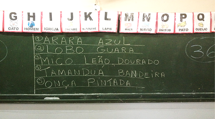D:\MESTRADO\DISSERTAÇÃO\TRANSCRIÇÕES\FOTOS\QUADRO (1).JPG